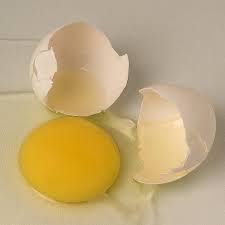 broken eggs2